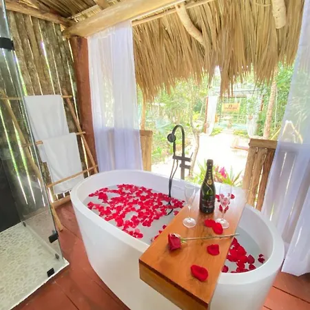 Nuscaa Boutique Tree House & Spa Hotel