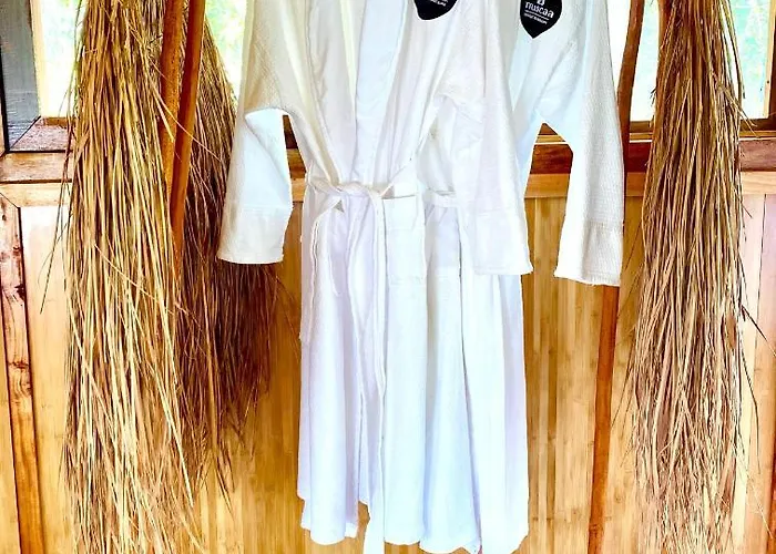 Hotel Nuscaa Boutique Tree House & Puerto Morelos