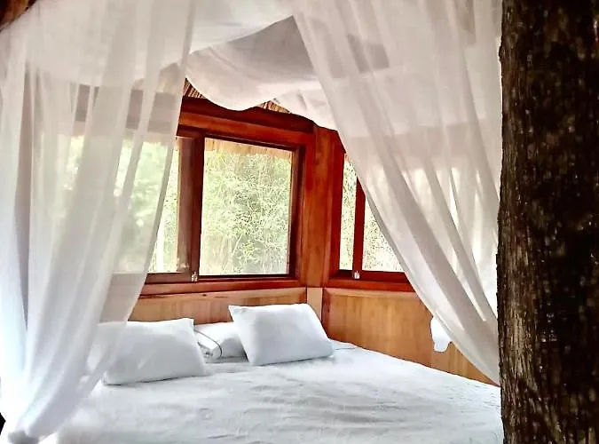 Hotel Nuscaa Boutique Tree House &