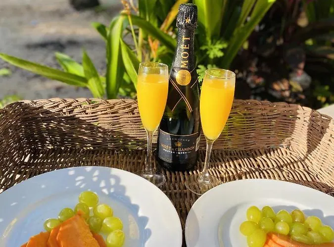 Nuscaa Boutique Tree House & Hotel Puerto Morelos