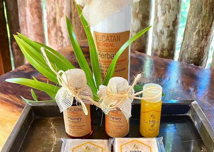 Nuscaa Boutique Tree House & Hotel Puerto Morelos