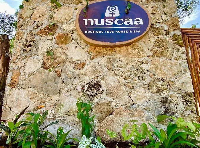Nuscaa Boutique Tree House & Hotel