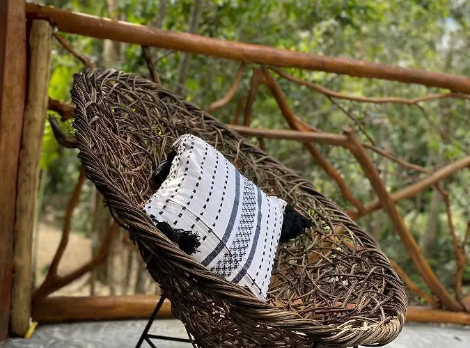 Nuscaa Boutique Tree House & Hotel