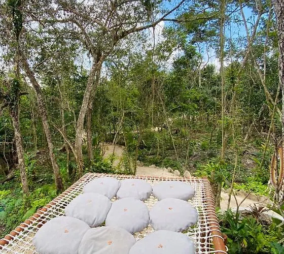 Nuscaa Boutique Tree House & Puerto Morelos