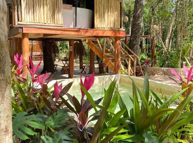Nuscaa Boutique Tree House & 4* Puerto Morelos