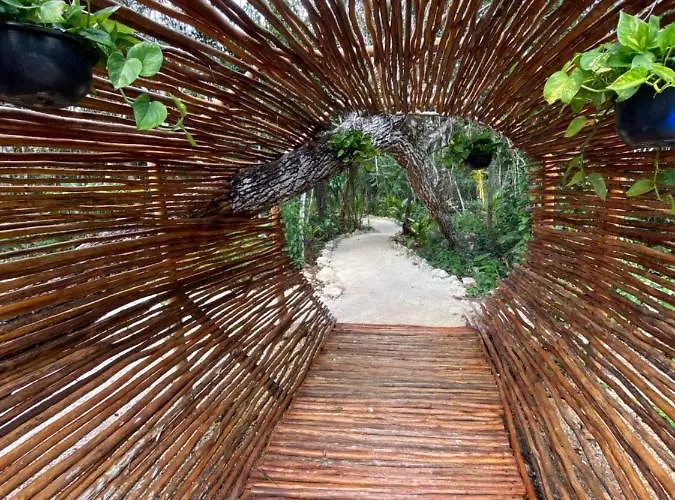 Hotel Nuscaa Boutique Tree House & Puerto Morelos