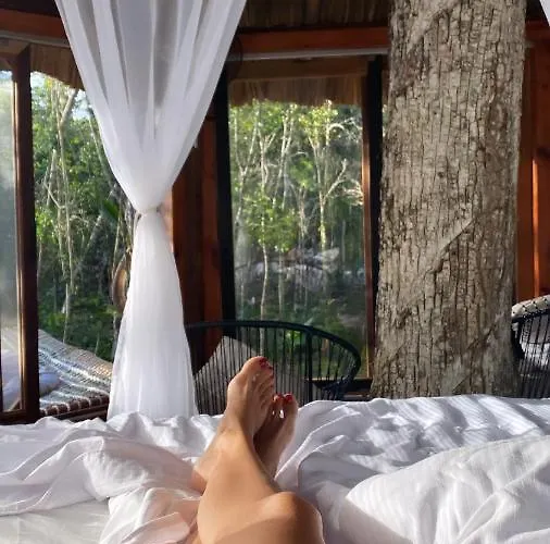 Nuscaa Boutique Tree House & Hotel