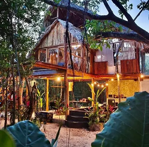 Nuscaa Boutique Tree House &