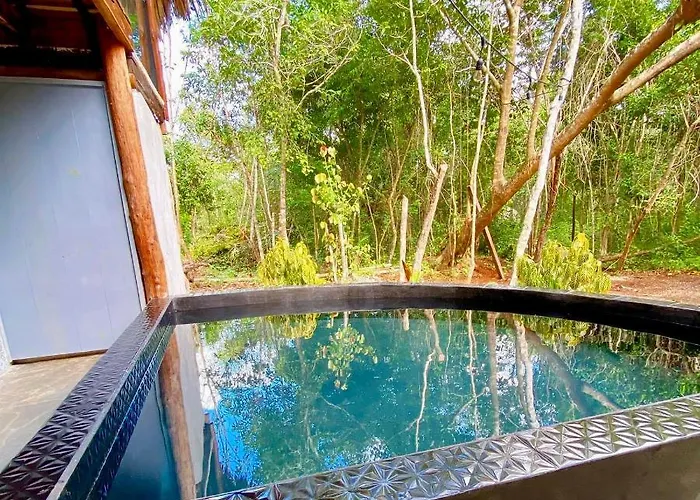 Nuscaa Boutique Tree House & 4*