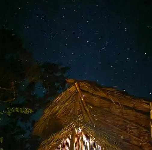 Hotel Nuscaa Boutique Tree House & 4*