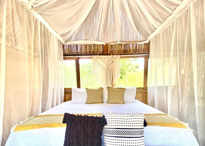 Nuscaa Boutique Tree House & 4* Puerto Morelos